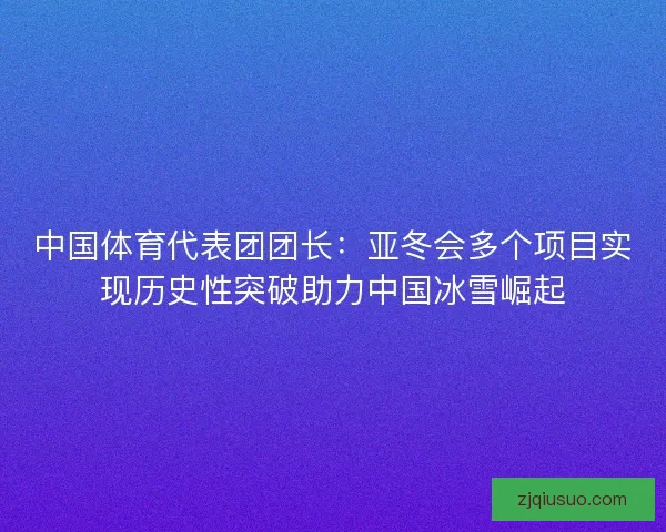 中国体育代表团团长:亚冬会多个项目实现历史性突破助力中国冰雪崛起 中国体育代表团团长:亚冬会多个项目实现历史性突破助力中国冰雪崛起