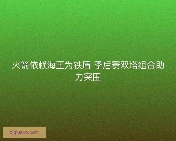 火箭依赖海王为铁盾 季后赛双塔组合助力突围